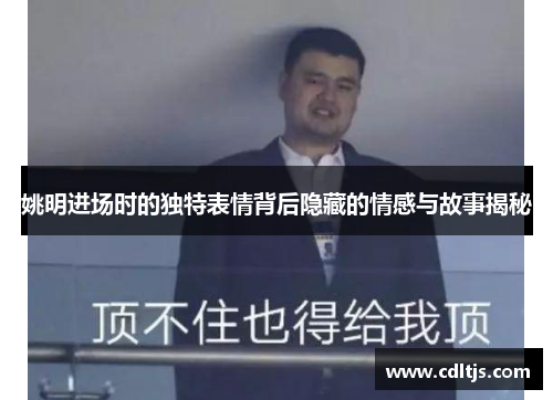 姚明进场时的独特表情背后隐藏的情感与故事揭秘