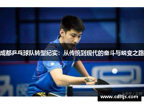 成都乒乓球队转型纪实：从传统到现代的奋斗与蜕变之路