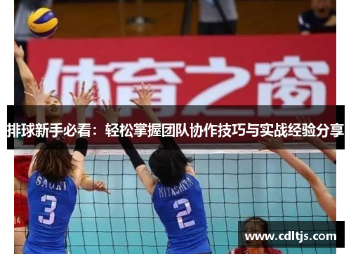 排球新手必看：轻松掌握团队协作技巧与实战经验分享