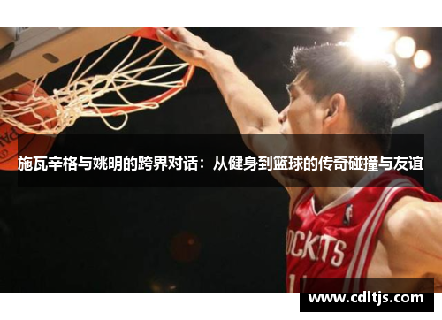 施瓦辛格与姚明的跨界对话：从健身到篮球的传奇碰撞与友谊