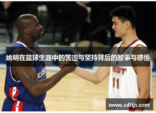 姚明在篮球生涯中的苦涩与坚持背后的故事与感悟