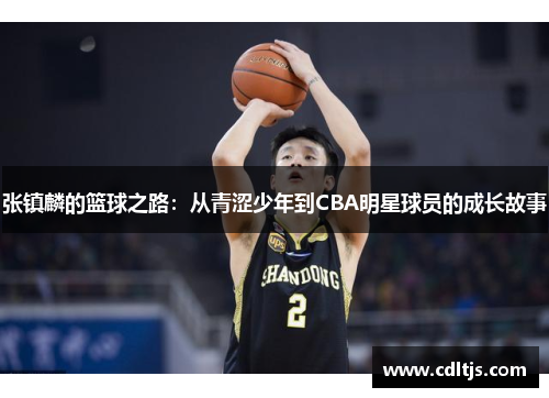 张镇麟的篮球之路：从青涩少年到CBA明星球员的成长故事